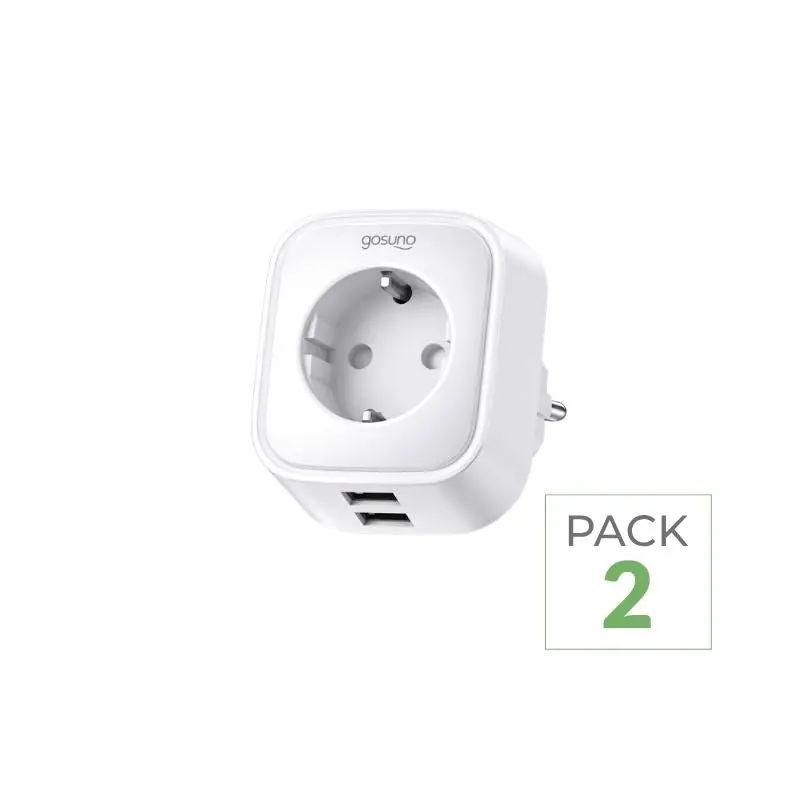 WiFi 16A aangesloten socket + 2 USB 2.1A -poorten (veel 2)