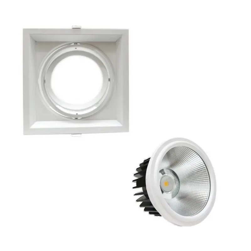 AR111 gebouwd -in verstelbare assistent met LED 20W -lamp