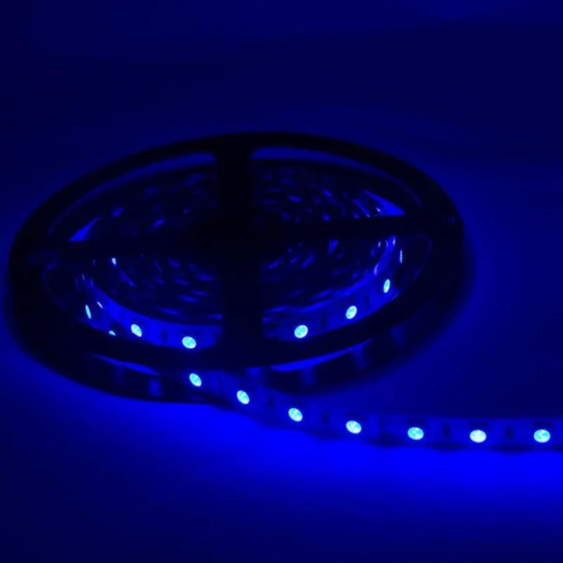LED -lint 12V 5m Blue IP54 SMD 2835 60LED\\/M