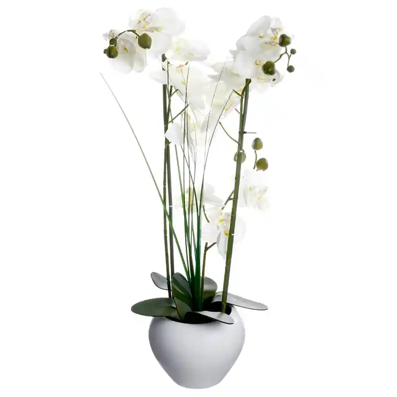 Künstliche Orchidee mit Keramikvase H53cm