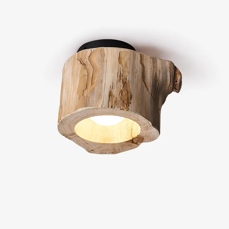Tarn Lampe Plafond Creuse Naturelle Élégante