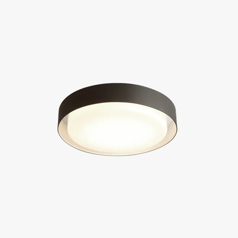 Ray Ronde Moderne LED Plafonnier Noir Métal\\/Acrylique Extérieur