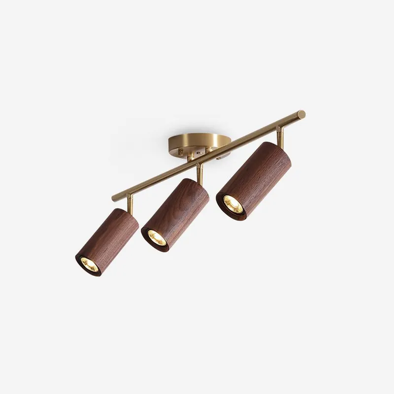 Liora Plafonnier sur Rail en Bois