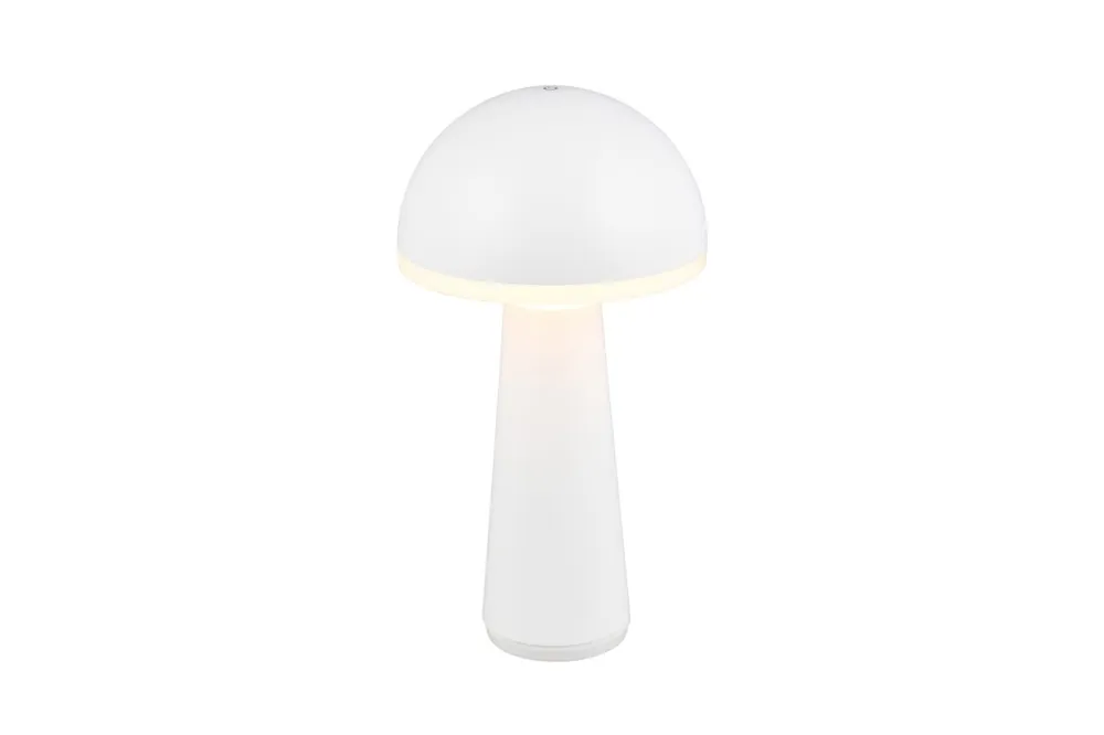 Fungo 30cm portable