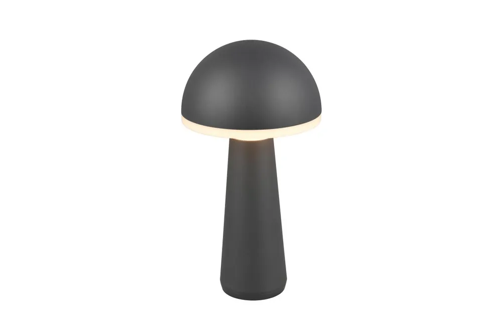 Fungo 30cm portable
