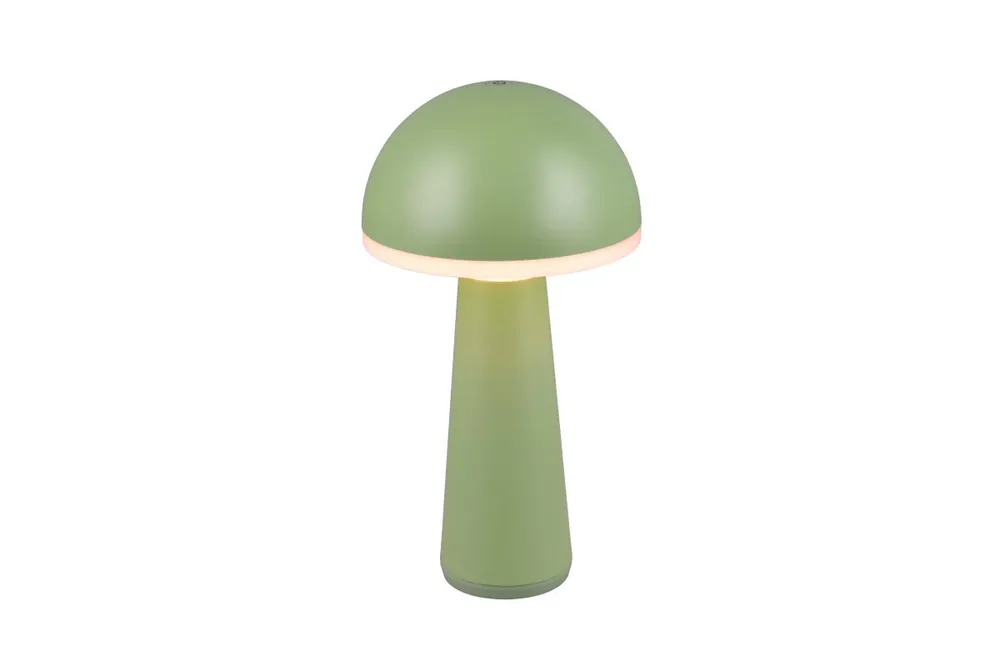 Fungo 30cm portable