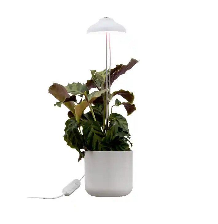 Lampe Pour Plantes Iris