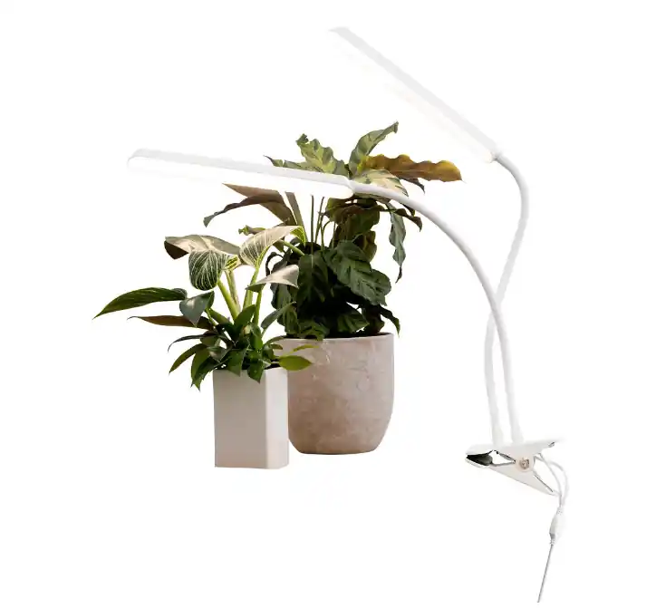 Lampe Pour Plantes Tulip