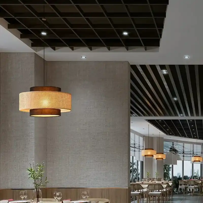 Suspension Lighting Fixture | SOUTERE