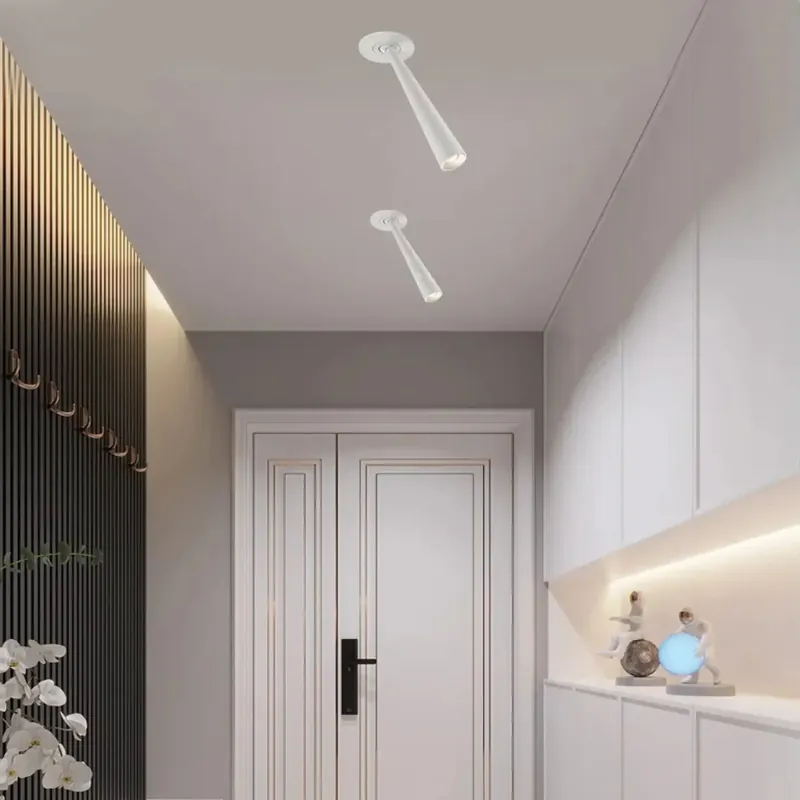 Ceiling Light Fixture | DOUVUS