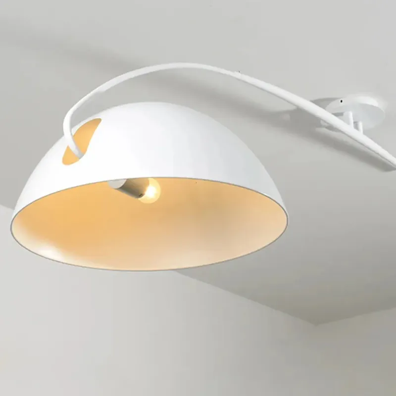 Ceiling Light Fixture | SOSURU