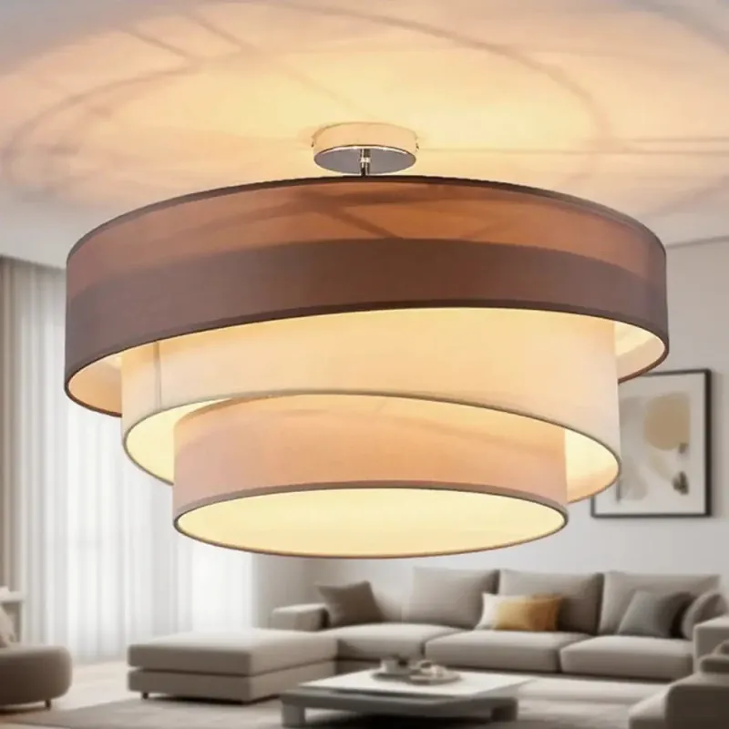 Ceiling Light Fixture | DOUCIR