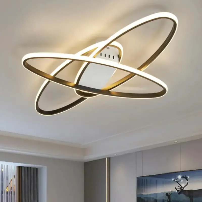 Ceiling Light Fixture | TROCOLE