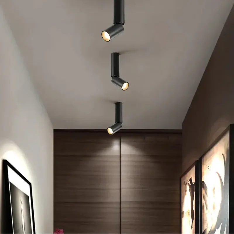 Ceiling Light Fixture | DARITUS