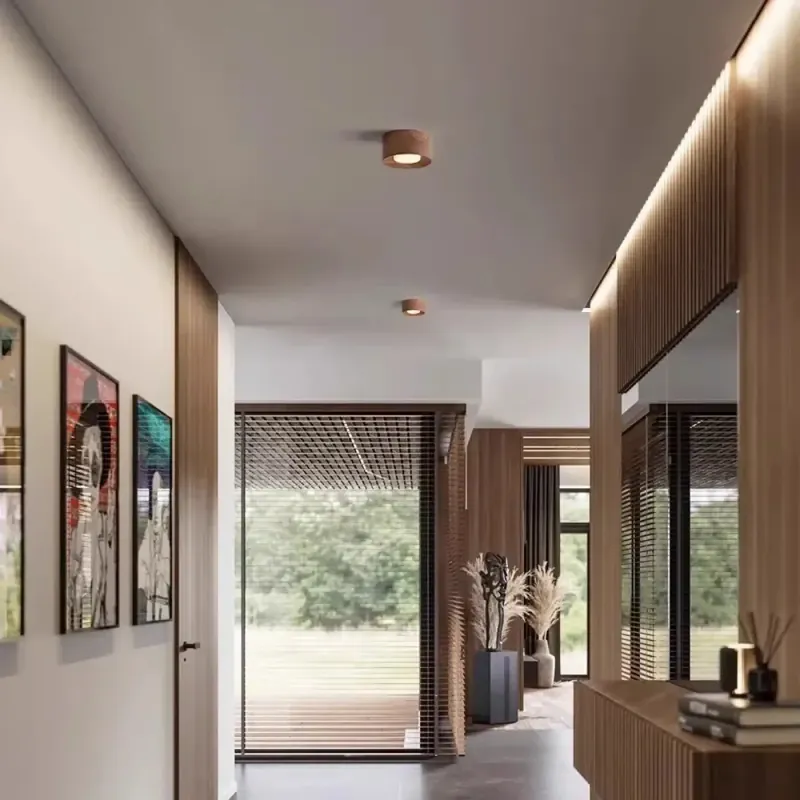 Ceiling Light Fixture | SOBISE