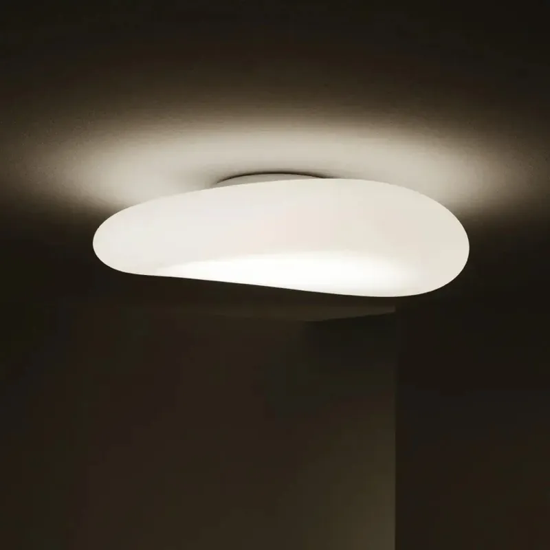 Ceiling Light Fixture | TRABIFE