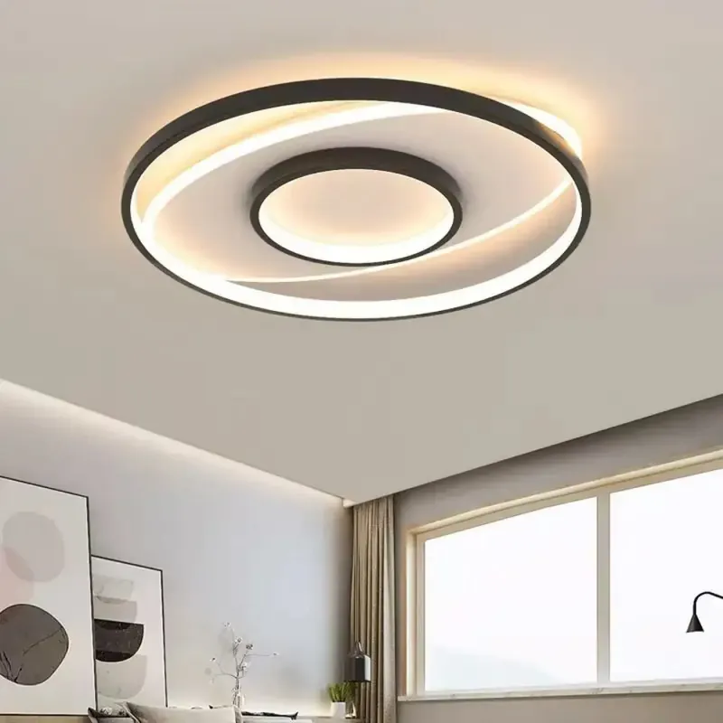 Ceiling Light Fixture | SUITETY