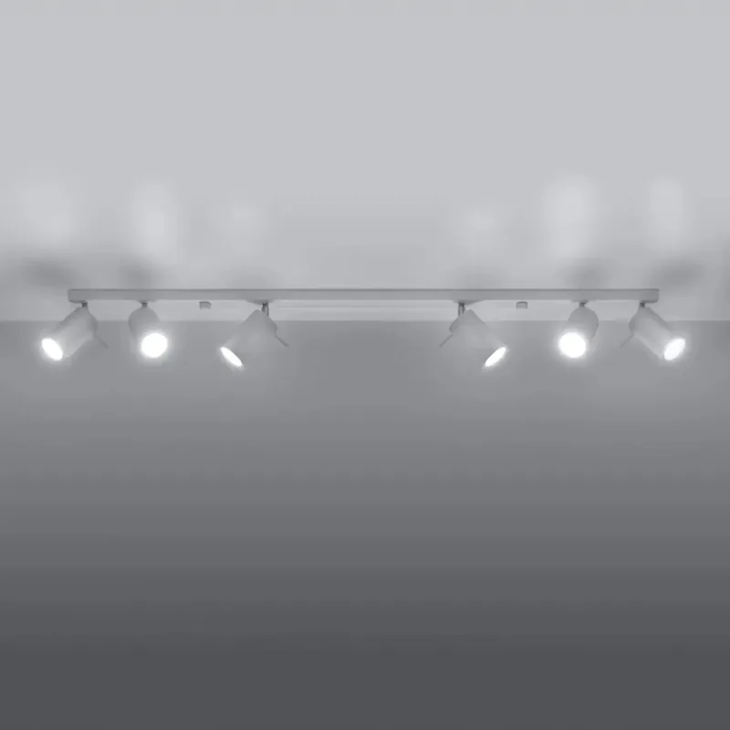 RING 6L white ceiling light