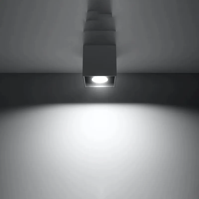 QUAD 1 Anthracite Ceiling Light