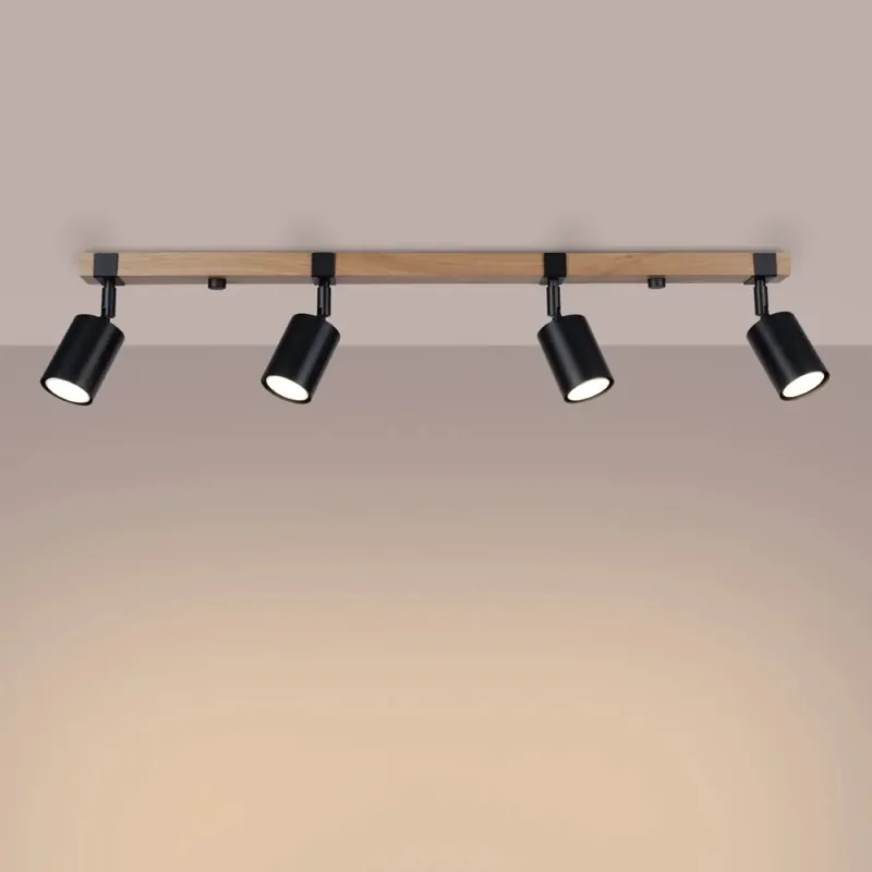FAGER 4L black ceiling light