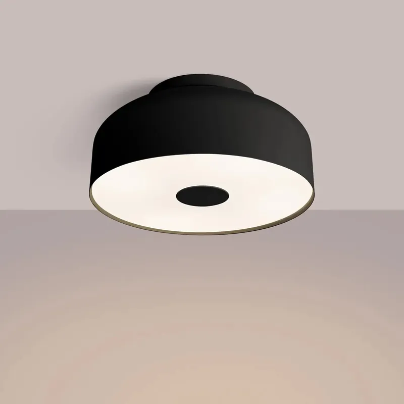 OMIQ black ceiling light