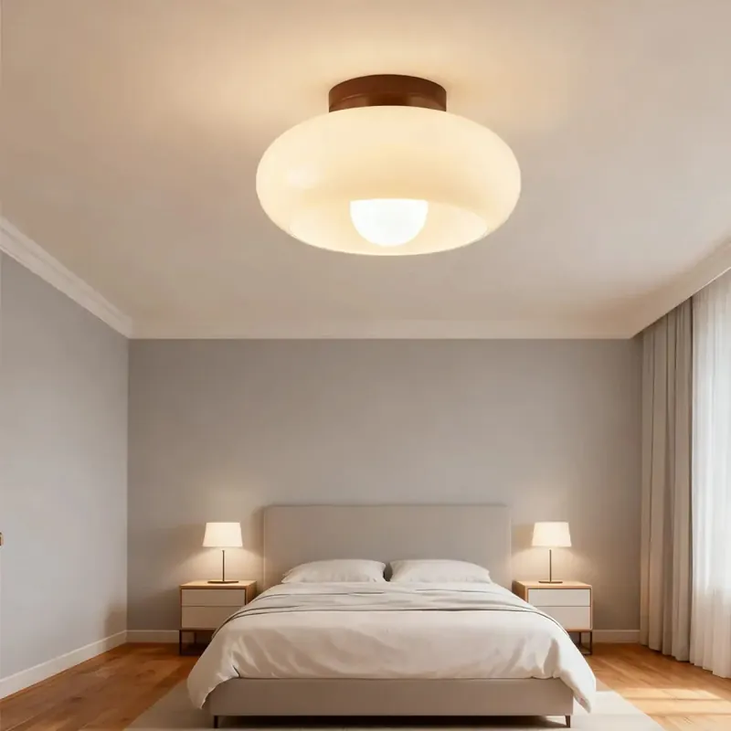 Ceiling Light Fixture | DELAY