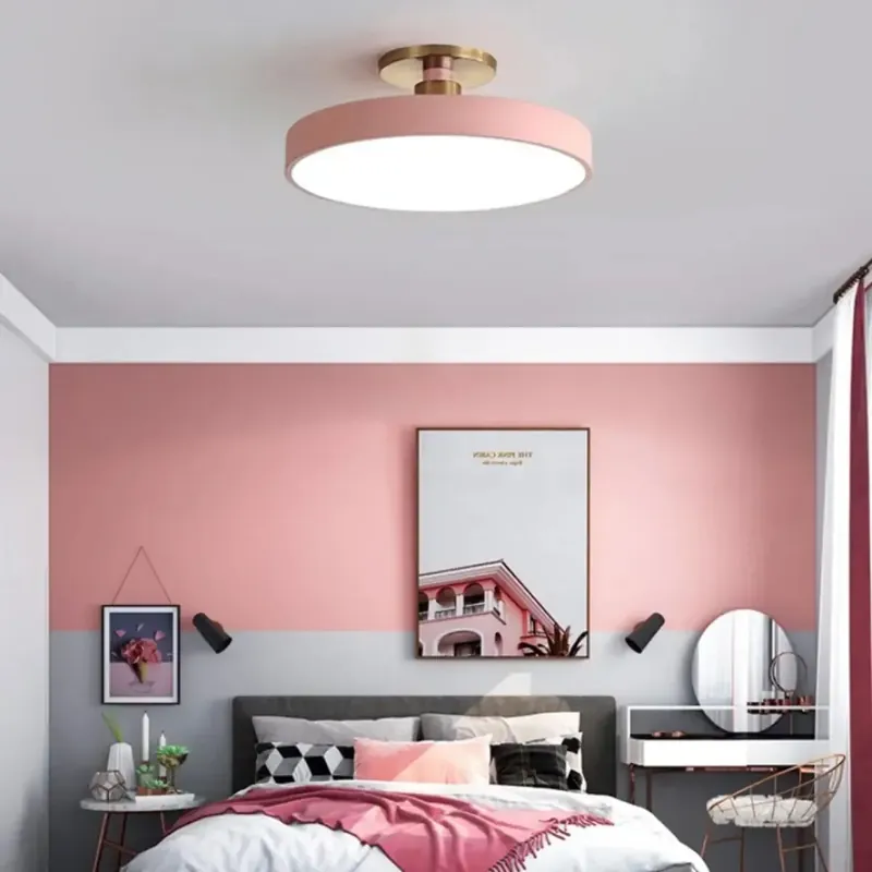 Ceiling Light Fixture | BISCO