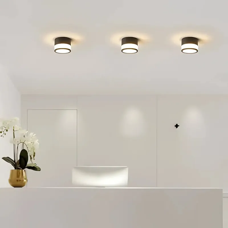 Ceiling Light Fixture | EBLOUIA