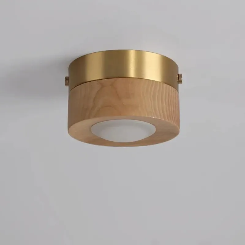 Ceiling Luminaire | ULORI