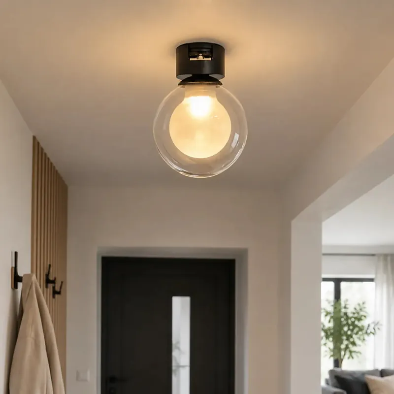 Ceiling Light Fixture | ACIA
