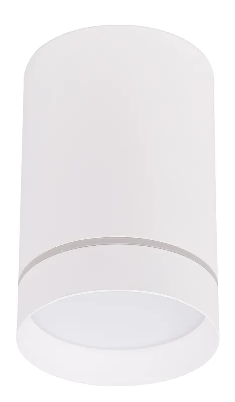 Spot TUBE CEILING — 1×GU10, blanc