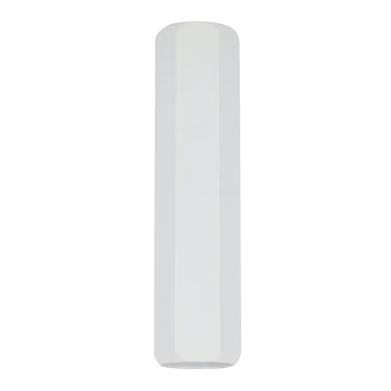 Spot TUBE CEILING — 1×GU10, blanc