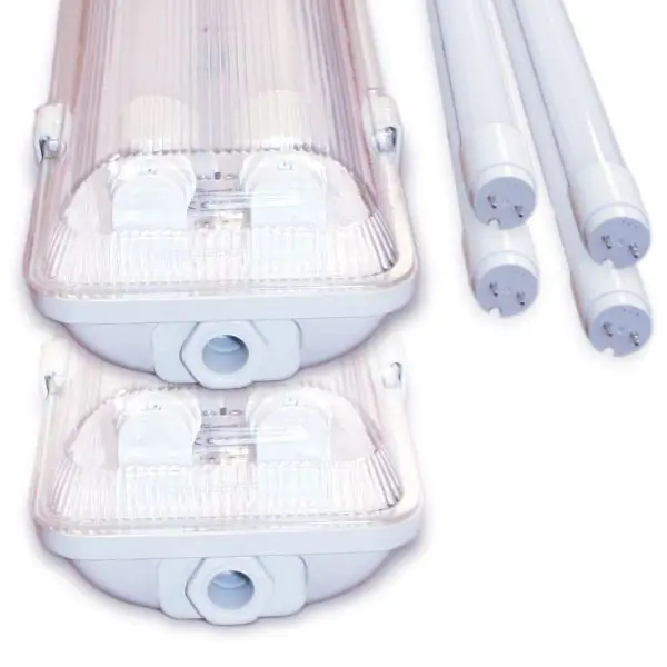 Blanc Froid 6000K