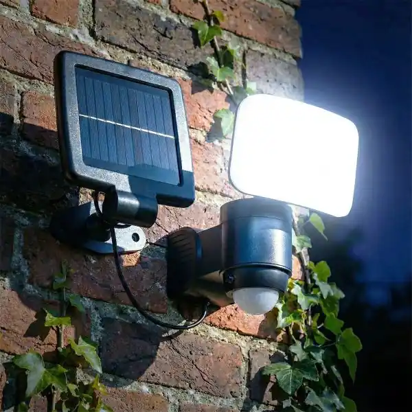 Projecteur LED détecteur Little Esteban – Solaire, 400 lumens