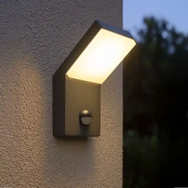 Applique murale Extérieure LED DAYTONA Sensor 12W Eq 120W IP65