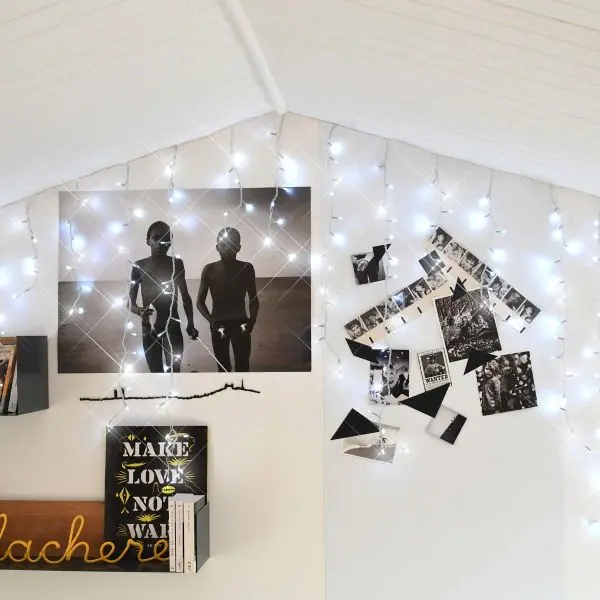 Rideau Stalactite guirlande lumineuse led 230 LEDS animées Blanc pur