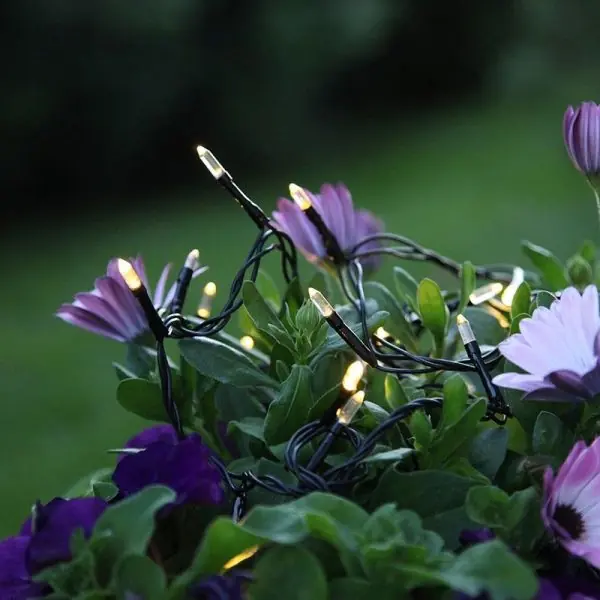 Guirlande LED Blanc chaud sur piles extérieur pour événement