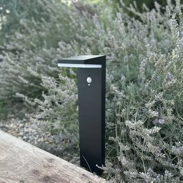Borne solaire JACKSON Equi. 60W Détecteur de Présence 3 Modes