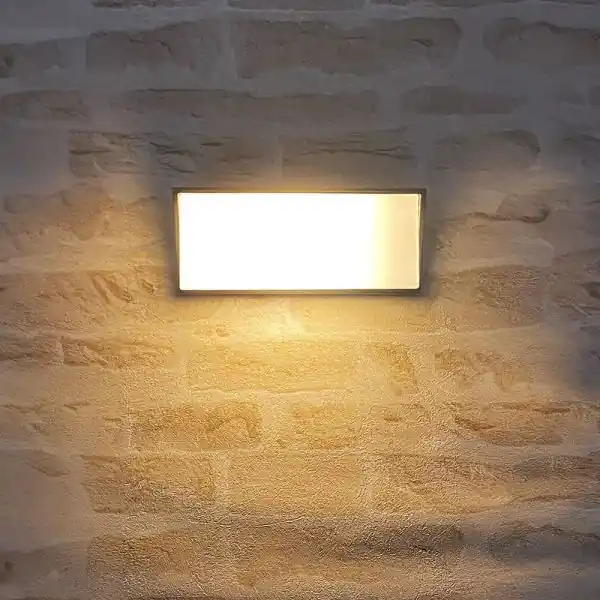 Applique murale NEWPORT grand diffuseur extérieure E27 Noir