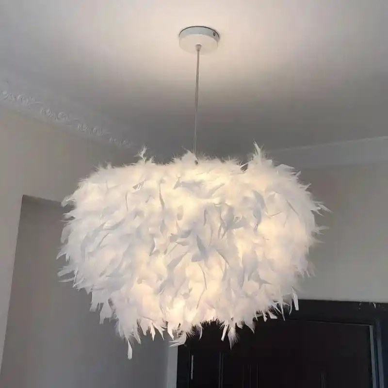 Suspension design en plumes