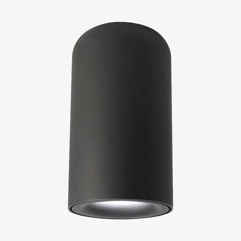 Spot cylindrique arrondi Mountée