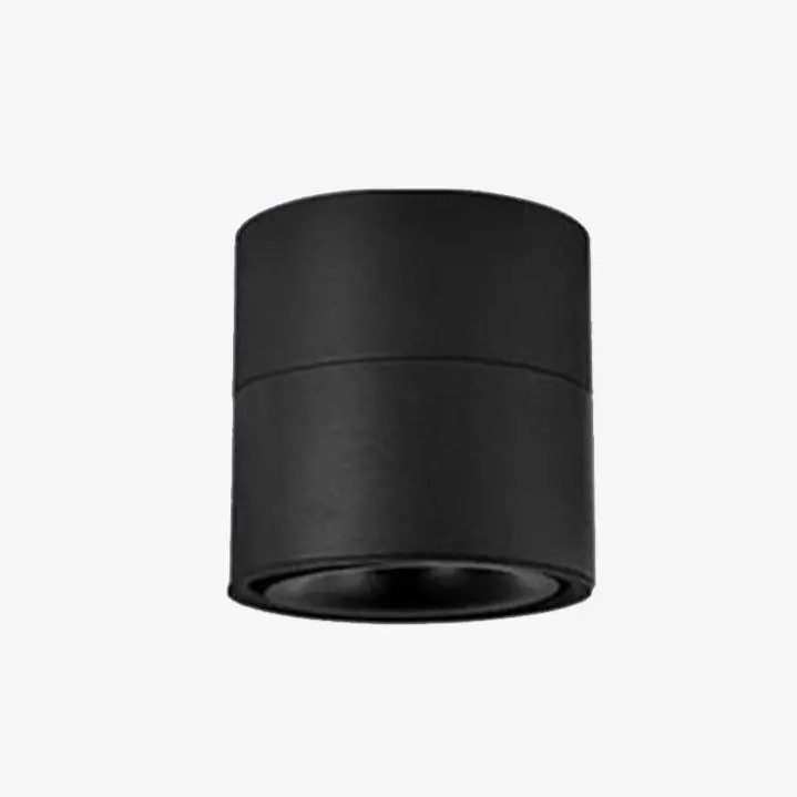 Spot LED cylindrique orientable PivotLens