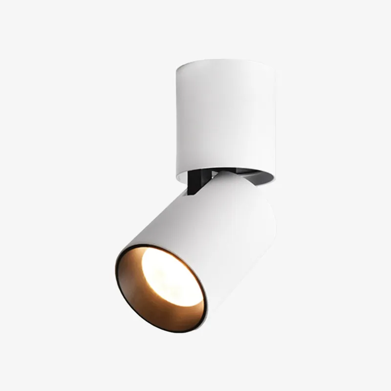 Spotlights LED personnalisables
