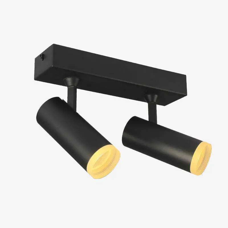 Plafonnier LED ajustables cylindriques \\"SpotLux\\"