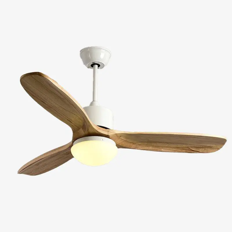 Ventilateur de plafond LED Techo - Bois & Lumière