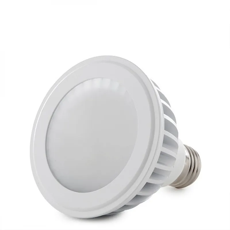 Żarówka LED E27 12W 960Lm 6000°K PAR30 40 000H [HO-PAR30-12W-CW]