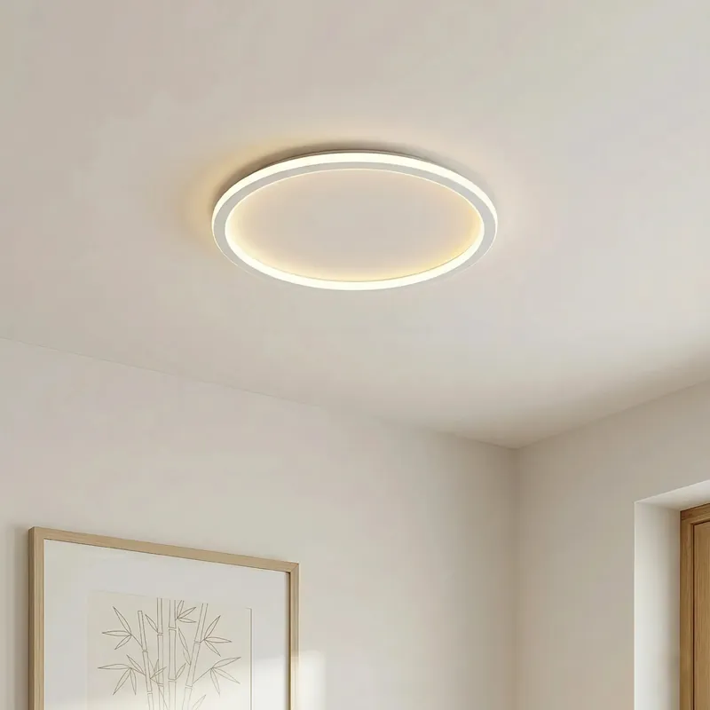 Chic Round Ceiling Lights