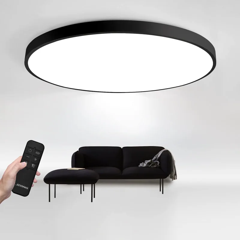 Minimalist Flat Disc Ceiling Light